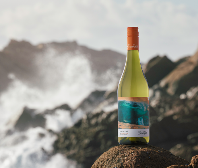 Wild Cape in Focus: Chardonnay